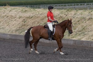 ISIS Dressage Challenge 2008